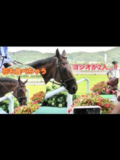 [x]ヨシオ、ヨシオ（ぬいぐるみ）とご対面、隙を見て花も食べちゃう🌷😋 - YouTube
