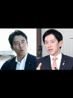 [x]コバホーク小林氏は「能力も人柄も申し分ない」同期の金子恵美氏 でも「永田町は最後は血統」「やっぱり小泉家、って」小泉進次郎氏の総裁選出は血統に ...