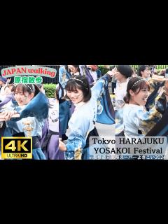 [x]原宿とある日のお祭 よさこい娘【4K60】よさこい娘エモいWalk in Tokyo Harajuku (原宿散歩)※視聴の際はぜひ設定で4K ...