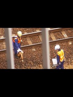 [x] 線路わきに横たわる物体の処理 / JR踏切事故 - YouTube