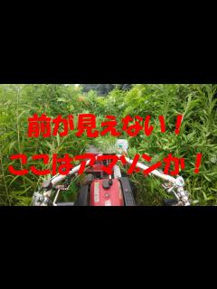 [x]これは凄い！ジャングルだー！ - YouTube