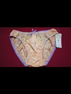 [x]Collection Nylon Panties Japanese Style Women’s Sexy and Cute Underwear ...