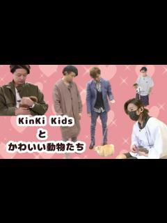 [x]KinKi Kidsとかわいい動物たち [ キンキキッズ ] - YouTube