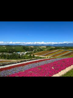[x]2020年 北海道日本ハムファイターズ 1-9 - YouTube
