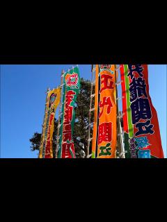 [x]令和五年初場所の のぼり旗全部 朝乃山 貴景勝 若隆景 若元春【大相撲】2023/01 sumo flags, welcome back ...