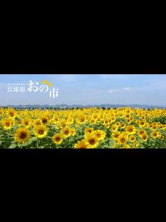 [x]小野賢章/小野友樹キャラ集 - ニコニコ動画