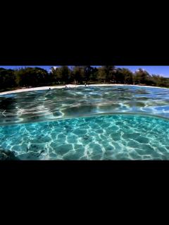 [x]ダイバーだけが知っていた!? マリアナの驚くべき水中絶景・新動画「Diving in The Marianas」を一般公開 | マリアナ政府 ...