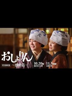 [x]北乃きいが涙の懇願！森崎ウィンが必死の説得！ 映画『おしょりん』特別映像～感動篇～【福井先行公開中／11.3（金・祝）全国公開】 - YouTube