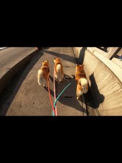 [x]おわかりいただけただろうか・・・？ - YouTube