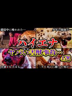 [x]【骨すら喰われる!?】怪物じみた「人喰いハイエナ」危険生物に襲われた人達の末路がヤバすぎる… 4選【ゆっくり解説】【閲覧注意】 - YouTube
