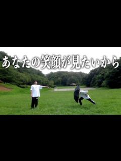 [x]これを見たら、"元気"になります - YouTube