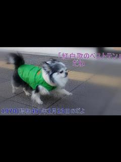 [x]NTV紅白歌のベストテン 1970(昭和45)年2月23日 生放送 いしだあゆみ 堺正章 音声のみ - YouTube