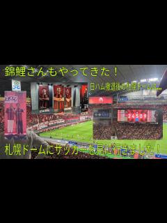 [x]【錦鯉さんもやってきた！】札幌ドームにサッカーを見に行きました！ - YouTube