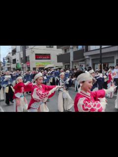 [x]ほにや よさこい祭り 万々商店街 2024年2日目 - YouTube