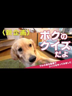 [x]『ナイナイアルアルコーナー18』 馬鹿力コーナー - YouTube