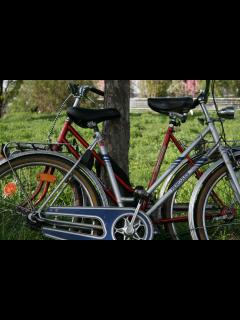 [x]Kostenlose foto : Landschaft, Natur, Gras, Rad, Blume, Fahrrad, Strauß ...