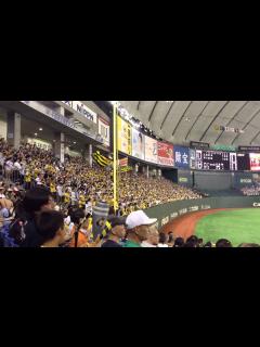 [x]2014阪神 くたばれ読売そーれいけいけ 東京ドーム - YouTube