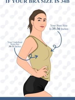 [x]How Big Is a 34B Bra Cup Size? | TheBetterFit