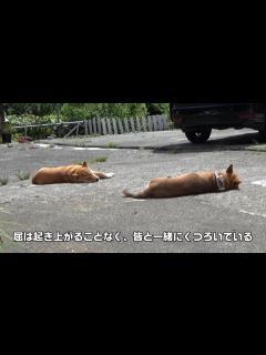 [x]想定外 屈が皆とぶっ倒れたのに、ぶっ倒れ隊結成ならず - YouTube