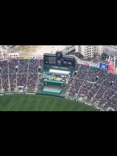[x]選抜高校野球が開幕 好カードににぎわう阪神甲子園球場 - YouTube
